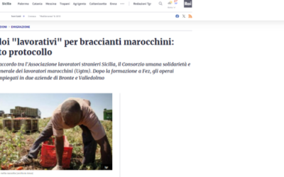 RAINEWS.it TGR Sicilia (28.03.2024) Corridoi “lavorativi” per braccianti marocchini: firmato protocollo