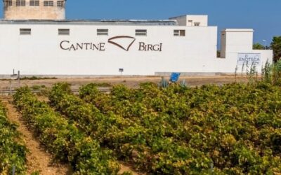 Marsala On The Job: dalle Cantine Birgi alla scoperta della tradizione enologica marsalese