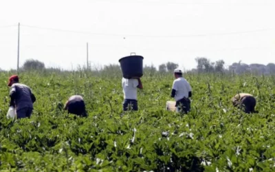 Contrasto al caporalato in Basilicata: il Consorzio Umana Solidarietà nella rete Su.Pr.Eme.2